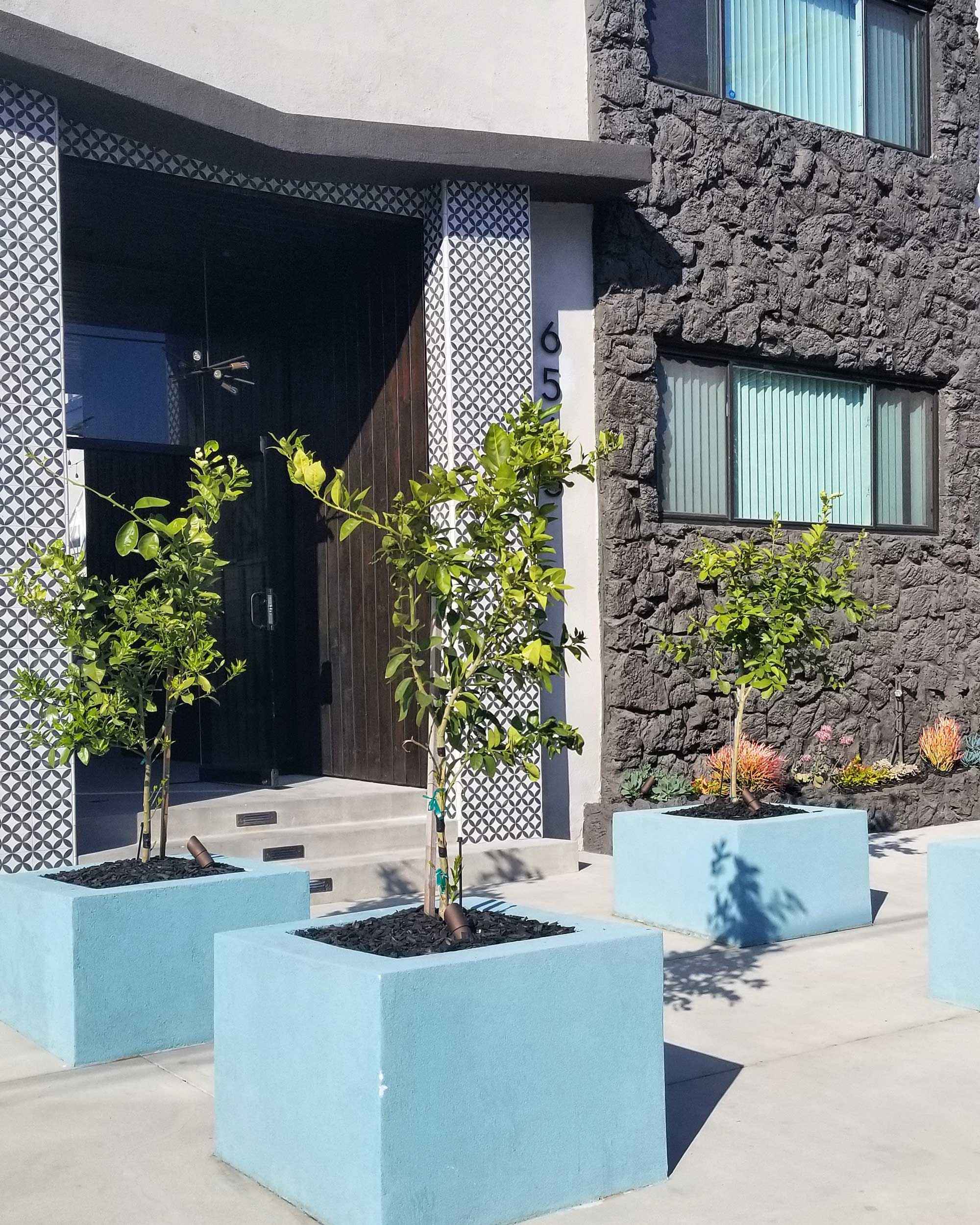 Bleu Apartments modern exterior stonework and landscaping